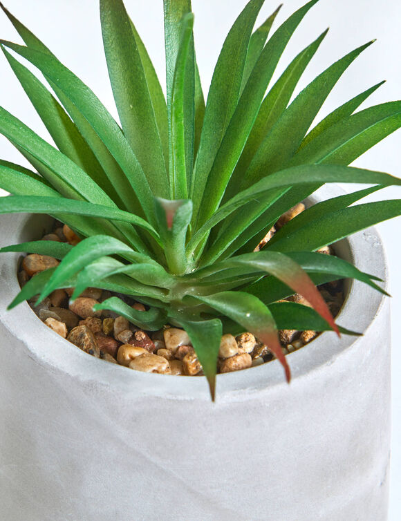 Plante artificielle et pot en ciment (gris) Plante artificielle et pot en ciment (gris)